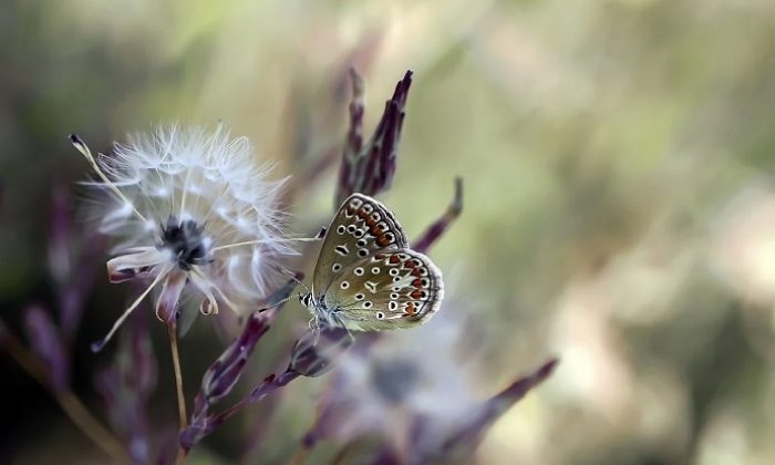 Mükemmelliğin neresindesin?