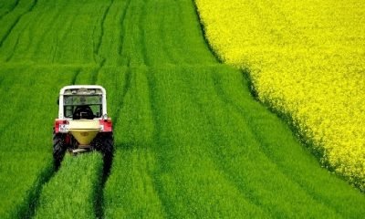 Tarım ve Orman Bakanlığı COVİD19 destekleri!