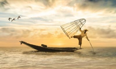 Zihin-Kalp-Ruh dengesinde neredesin?