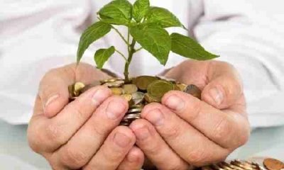 Hayat sigortası nedir ve vergi avantajları