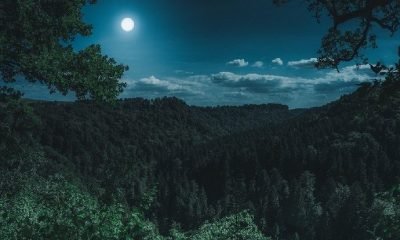 Koronavirüs ve Karanşebeş Savaşı