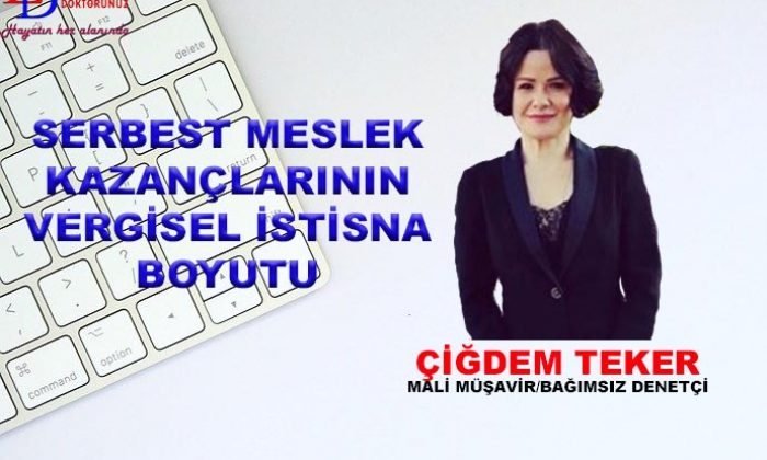 Serbest meslek kazançlarının vergisel istisna boyutu