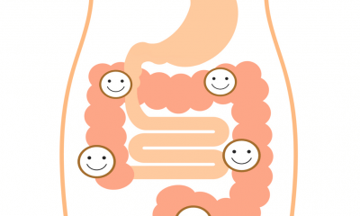 Bağırsaklar konuşuyor, kulak verelim