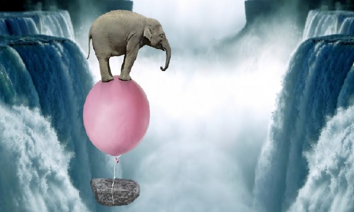 Sen hiç piyasada uçan bir fil gördün mü?