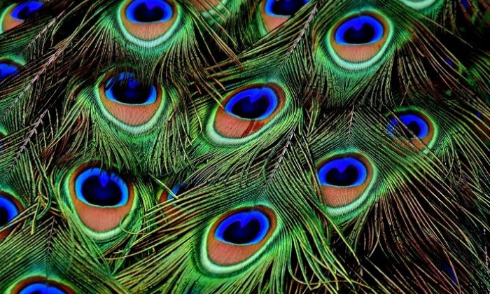 Mükemmellik için ne gerekiyor?