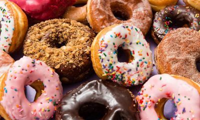 Raworth ya da “donut modeli” ile ülke ekonomileri kurtarılmaya çalışılacak!