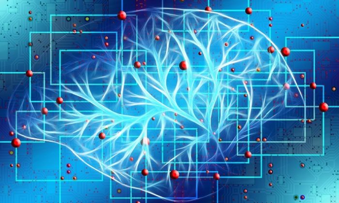 Herkes için beyin eğitimi