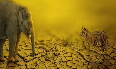 Karşınızda ikili ilişkilerde manipülasyon