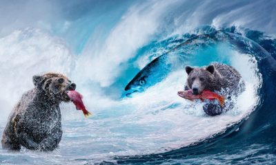 Büyük olan borsa mı yoksa intikam duygunuz mu?