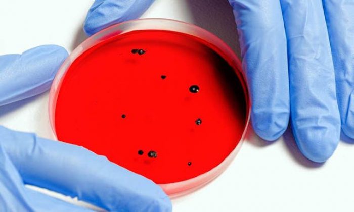 Mutasyon ve mutasyon hakkında merak edilenler