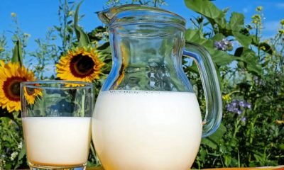 Süt fiyatı neden artıyor?