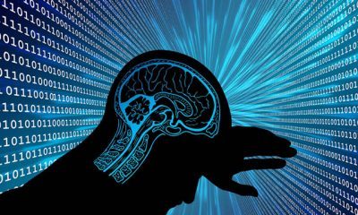 Üç yüz yıllık bir uykudan uyanmak