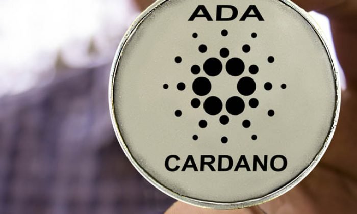 Cardano (ADA) coin nedir, neden yükseliyor?