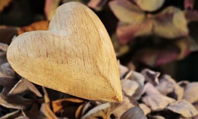 Duygu nedir? His nedir? Peki ya Sezgi..?