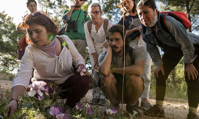 Şaduman Karaca ile bitki gezileri