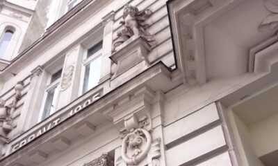 Göçebe Hayatına Veda – Bir Dönüşümün Anatomisi