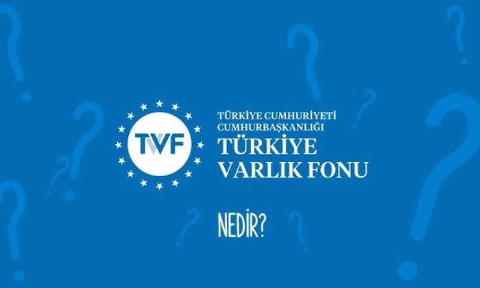 Türkiye Varlık Fonu’nun portföyünde hangi şirketler var?